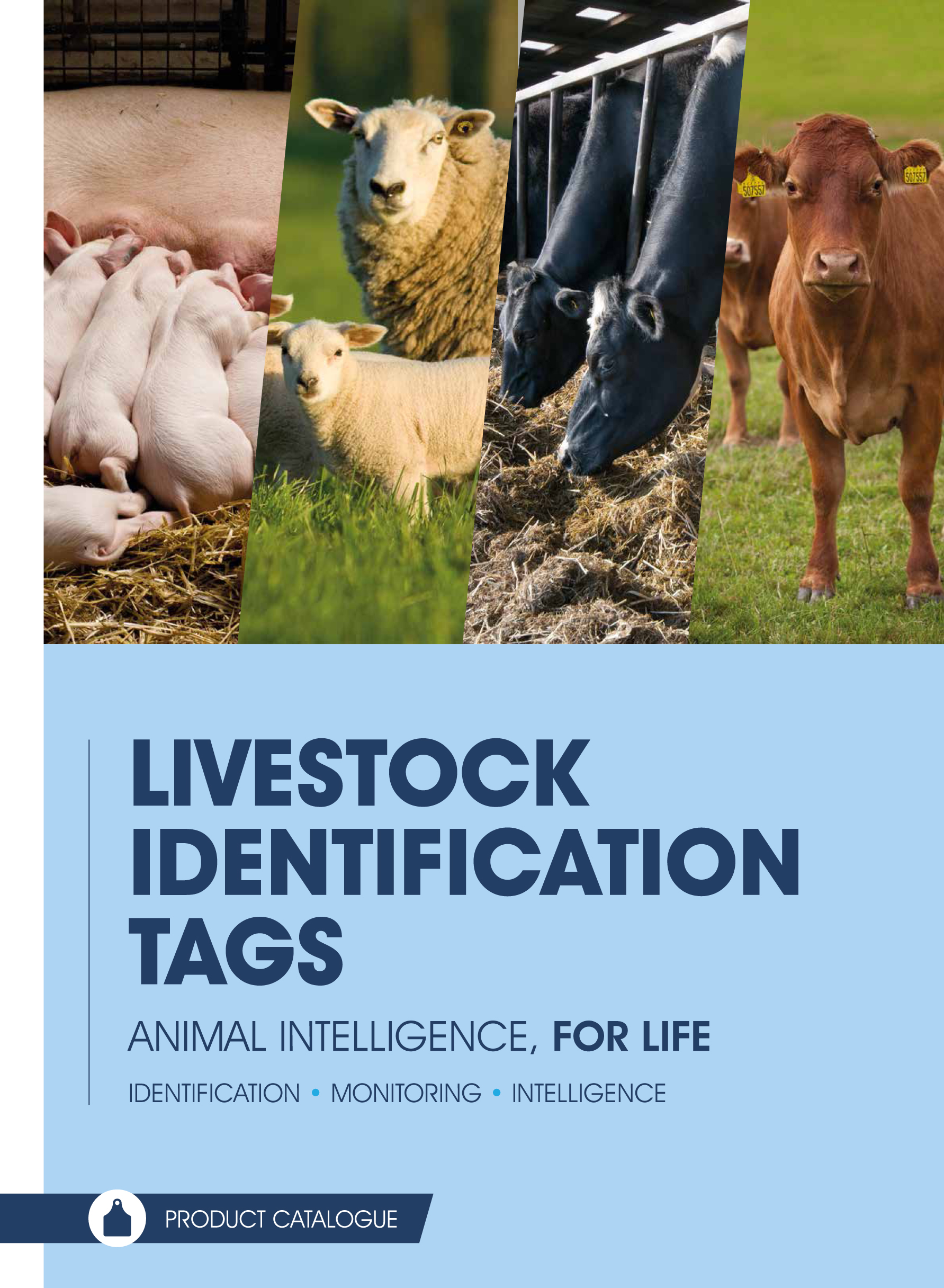 Livestock ID and tagging guide offers valuable herd and flock
