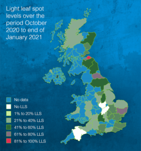 light_leaf_spot_uk