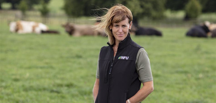 NFU President Minette Batters