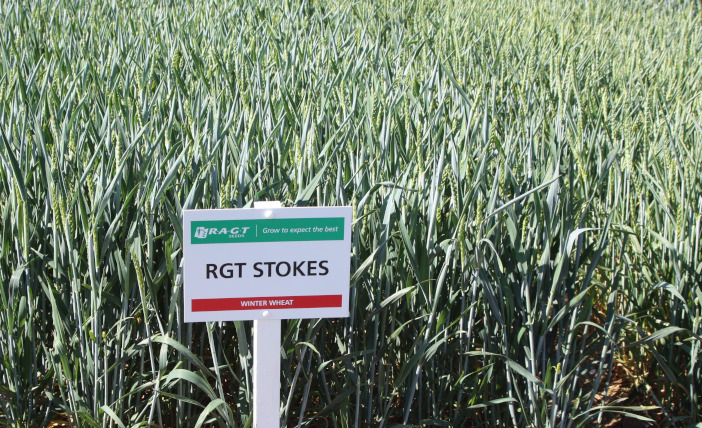 RGT Stokes 1