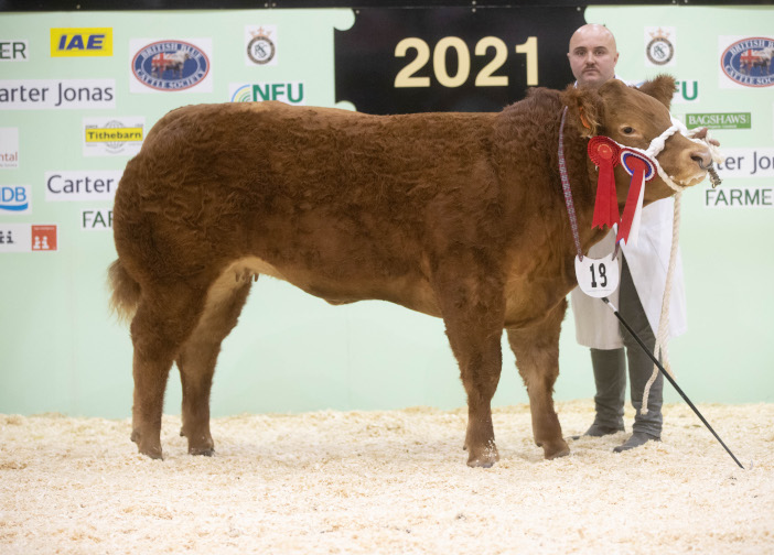 Winter Fair Champion Glangwden Rita